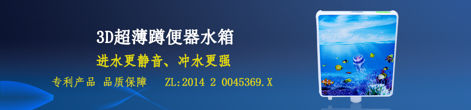 3D超薄蹲便器水箱 3D超薄蹲便器水箱