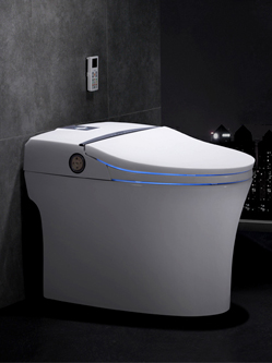 全自動智能馬桶一體式即熱坐便器帶語音控制 全自動智能馬桶一體式即熱坐便器帶語音控制